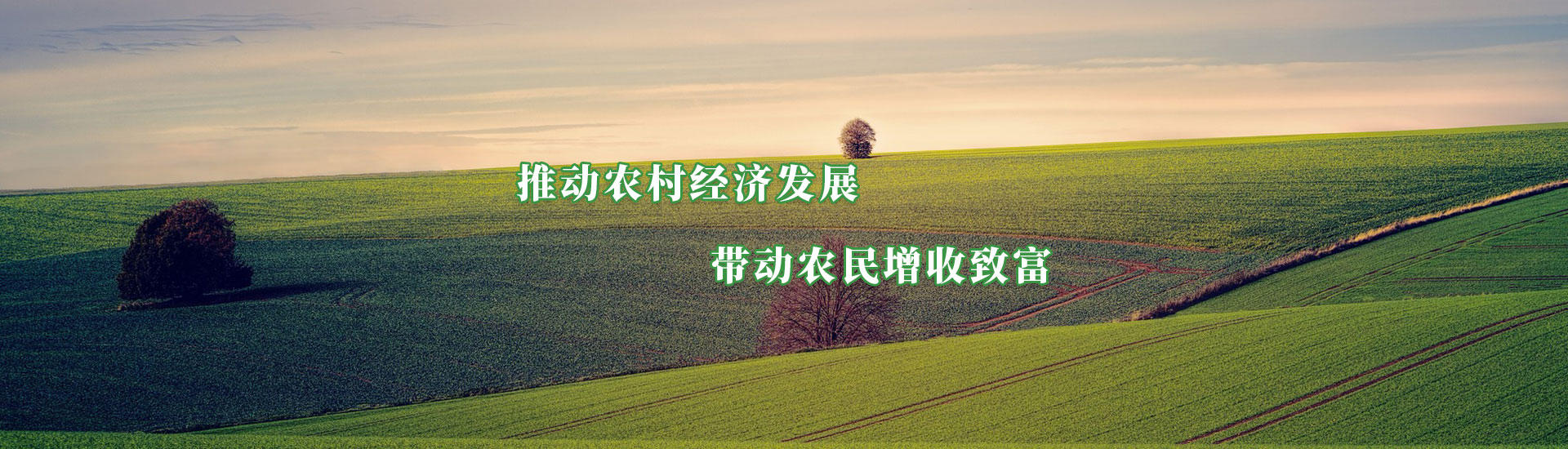 彩运网(中国游) - 官方网站