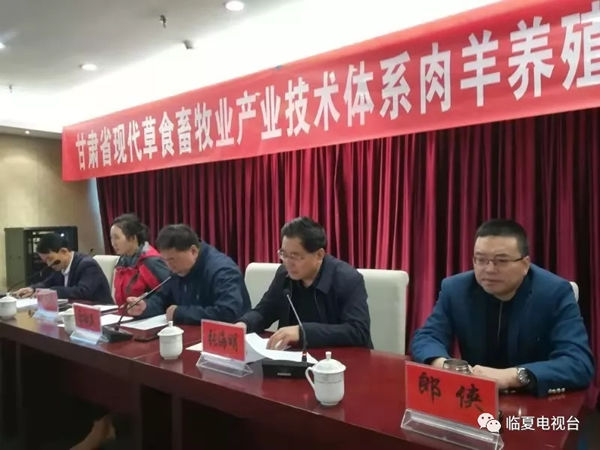 全省现代草食畜工业手艺系统专家组在我州开展肉羊养殖手艺培训和手艺效劳运动 - 时政要闻 - 资讯中心 - 肉羊,养殖,手艺,工业,专家组,我州,开展,手艺效劳,运动