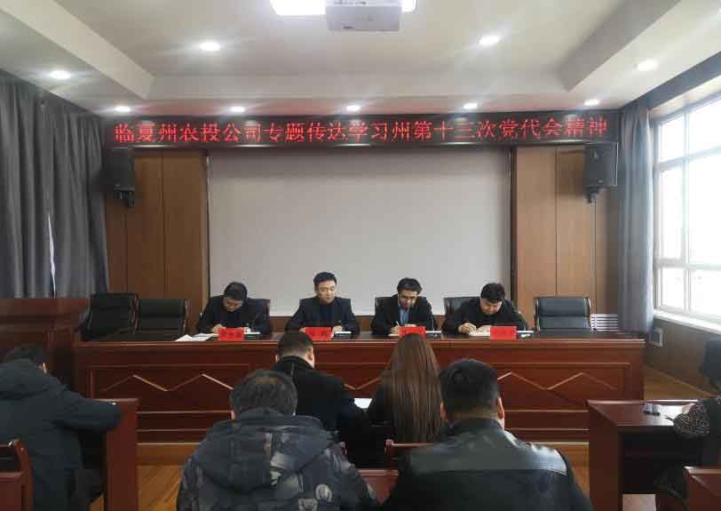 临夏州农投公司专题转达学习州第十三次党代会精神 - 党群事情 - 党群事情 - 党代会,公司,第十,三次,精神,临夏,学习,州农