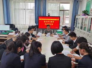 彩运网召开党史学习教育交流钻研会